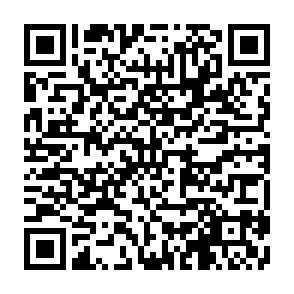 QR.jpeg